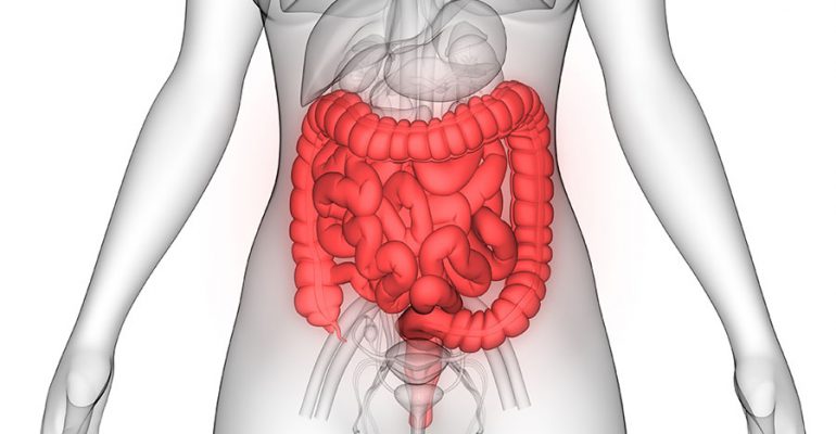 PRUEBA FIT, FECAL IMMUNOCHEMICAL TEST.