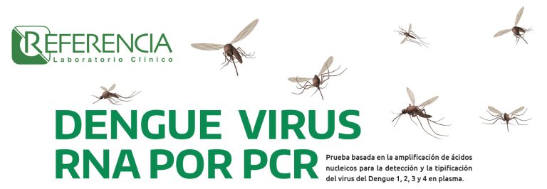 DENGUE VIRUS RNA POR PCR